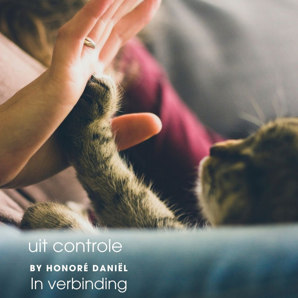Uit Controle – In Verbinding  by Honoré Daniël
