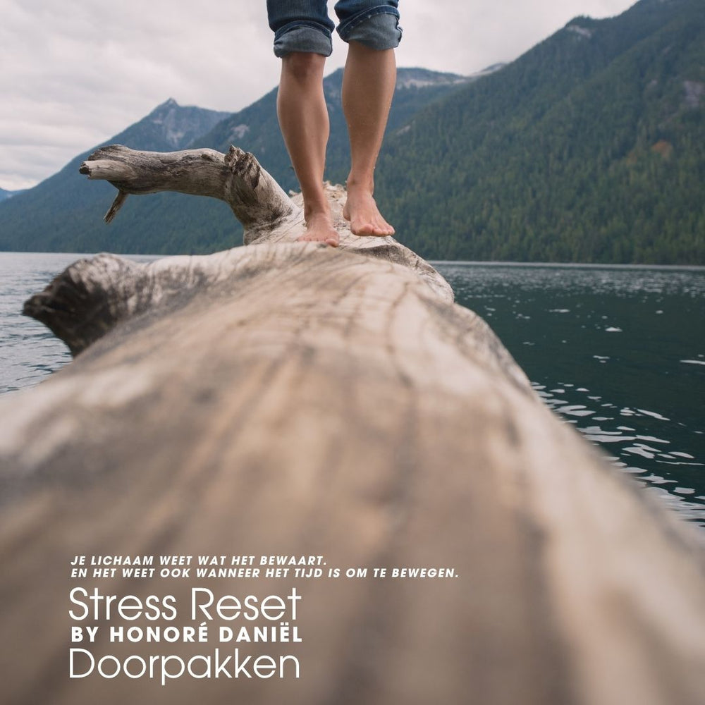 Stress Reset– Doorpakken by Honoré Daniël